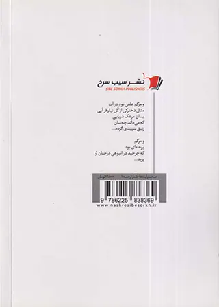 صحنه و آینه ها